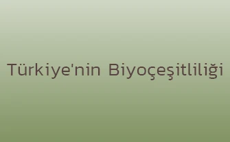 Türkiye'nin Biyoçeşitliliği